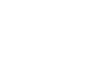 Tozi london logo